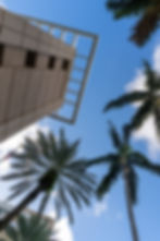 Downtown Fort Lauderdale